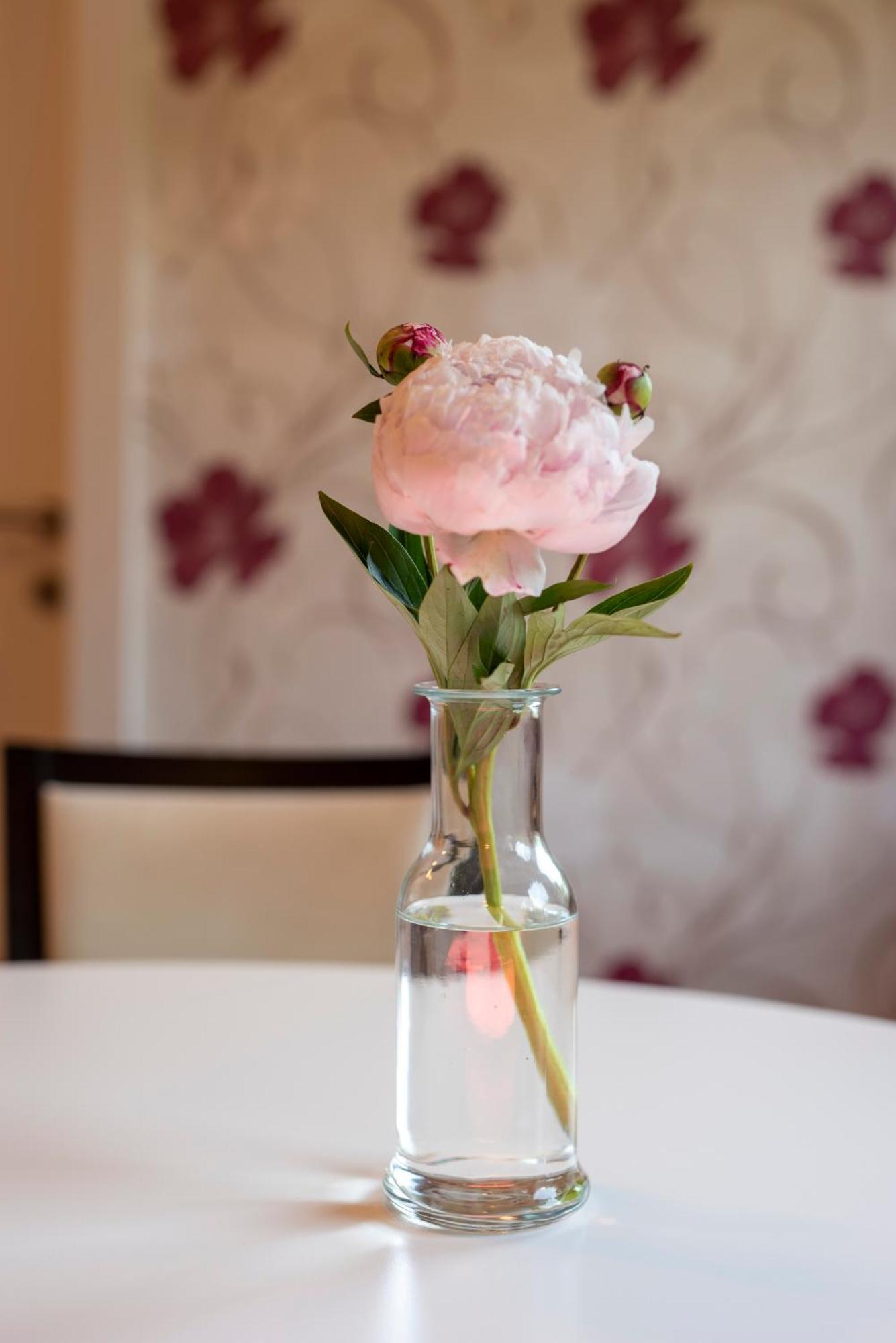 Hotel Alpen Arnika Tauplitzalm Ngoại thất bức ảnh
