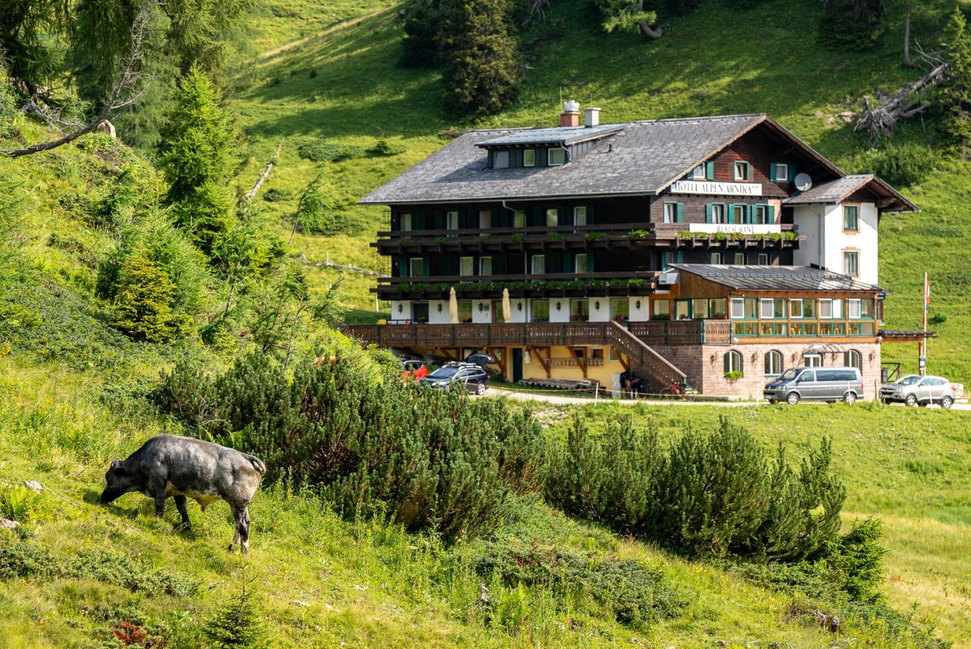 Hotel Alpen Arnika Tauplitzalm Ngoại thất bức ảnh